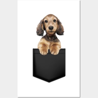 Cocker Spaniel in Pocket Posters and Art